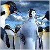 Happy Feet : photo George Miller