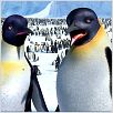 Happy Feet : photo George Miller