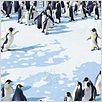 Happy Feet : photo George Miller