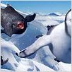 Happy Feet : photo George Miller