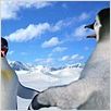Happy Feet : photo George Miller