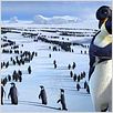 Happy Feet : photo George Miller