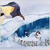 Happy Feet : photo George Miller
