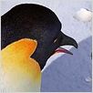 Happy Feet : photo George Miller