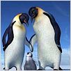 Happy Feet : photo George Miller