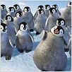 Happy Feet : photo George Miller