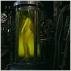 Das Parfum : photo Tom Tykwer
