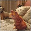 Garfield 2 : photo Tim Hill