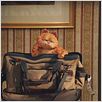 Garfield 2 : photo Tim Hill
