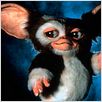 Gremlins 2 : photo Joe Dante