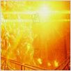 Sunshine : photo Danny Boyle