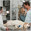 Zum Ausziehen verführt : photo Matthew McConaughey, Sarah Jessica Parker, Tom Dey