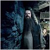 Harry Potter und der Orden des Phönix : photo Daniel Radcliffe, David Yates, Emma Watson, Rupert Grint