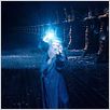 Harry Potter und der Orden des Phönix : photo David Yates, Michael Gambon