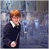 Harry Potter und der Orden des Phönix : photo David Yates, Rupert Grint