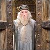 Harry Potter und der Orden des Phönix : photo David Yates, Michael Gambon