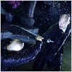 Fearless : photo Jet Li, Ronny Yu