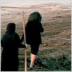 Teorema : photo Pier Paolo Pasolini