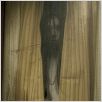 Der Fluch - The Grudge 2 : photo Takako Fuji, Takeshi Shimizu