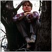 Birdy : photo Alan Parker, Matthew Modine