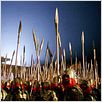 Der Fluch der goldenen Blume : photo Zhang Yimou