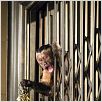 Nachts im Museum : photo Shawn Levy