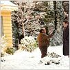 Blendende Weihnachten : photo Danny DeVito, John Whitesell, Matthew Broderick