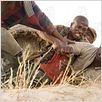 Blood Diamond : photo Djimon Hounsou, Edward Zwick