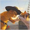 Shrek der Dritte : photo Chris Miller (II)