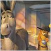 Shrek der Dritte : photo Chris Miller (II)