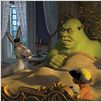 Shrek der Dritte : photo Chris Miller (II)