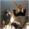 Stomp the Yard : photo Sylvain White