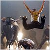 Stomp the Yard : photo Sylvain White