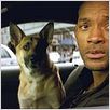 I Am Legend : photo Francis Lawrence, Will Smith