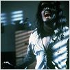 Das Tier : photo Joe Dante