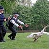 Hot Fuzz - Zwei abgewichste Profis : photo Edgar Wright