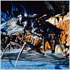 Starship Troopers : photo Paul Verhoeven