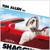 The Shaggy Dog : poster