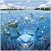 Findet Nemo : poster