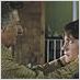Moonlight mile : photo