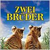 Zwei Brüder : poster