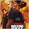 Walking Tall : poster
