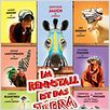 Im Rennstall ist das Zebra los! : poster