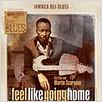 Feel like going home : poster