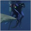 Open Water : photo