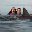 Open Water : photo