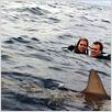 Open Water : photo