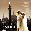 Der Tiger und der Schnee : poster
