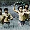 Rang De Basanti - Die Farbe Safran : photo