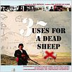 37 Uses For A Dead Sheep : poster